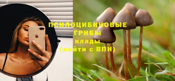 гидра Алзамай