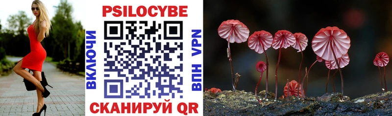купить закладку  Сортавала  Галлюциногенные грибы Cubensis 